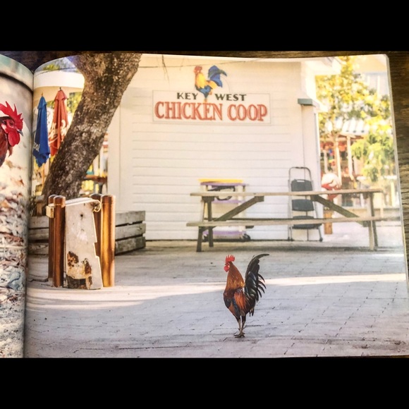 Cocks of Key West Coffee Table Book - Picture 10 of 16